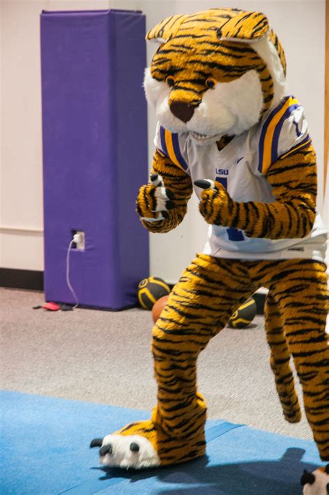 mike the tiger mascot costume